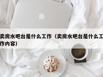 上海卖房水吧台是什么工作（卖房水吧台是什么工作内容）