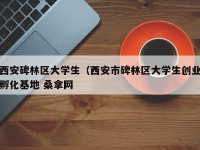 上海西安碑林区大学生（西安市碑林区大学生创业孵化基地 桑拿网