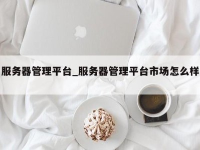 上海服务器管理平台_服务器管理平台市场怎么样 