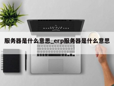 上海服务器是什么意思_erp服务器是什么意思 